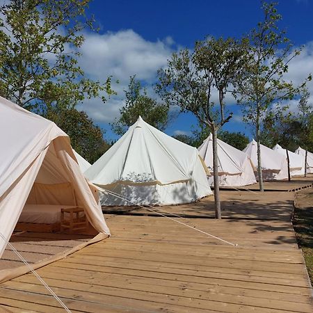 Bungalows Zaragoza Camping Dış mekan fotoğraf