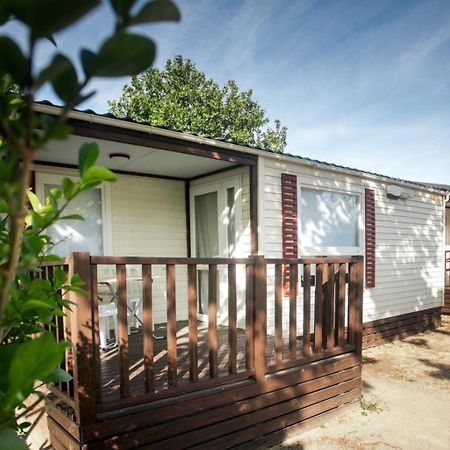 Bungalows Zaragoza Camping Dış mekan fotoğraf