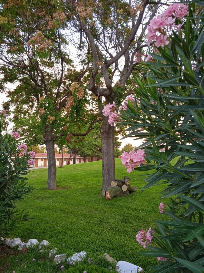 Bungalows Zaragoza Camping Dış mekan fotoğraf
