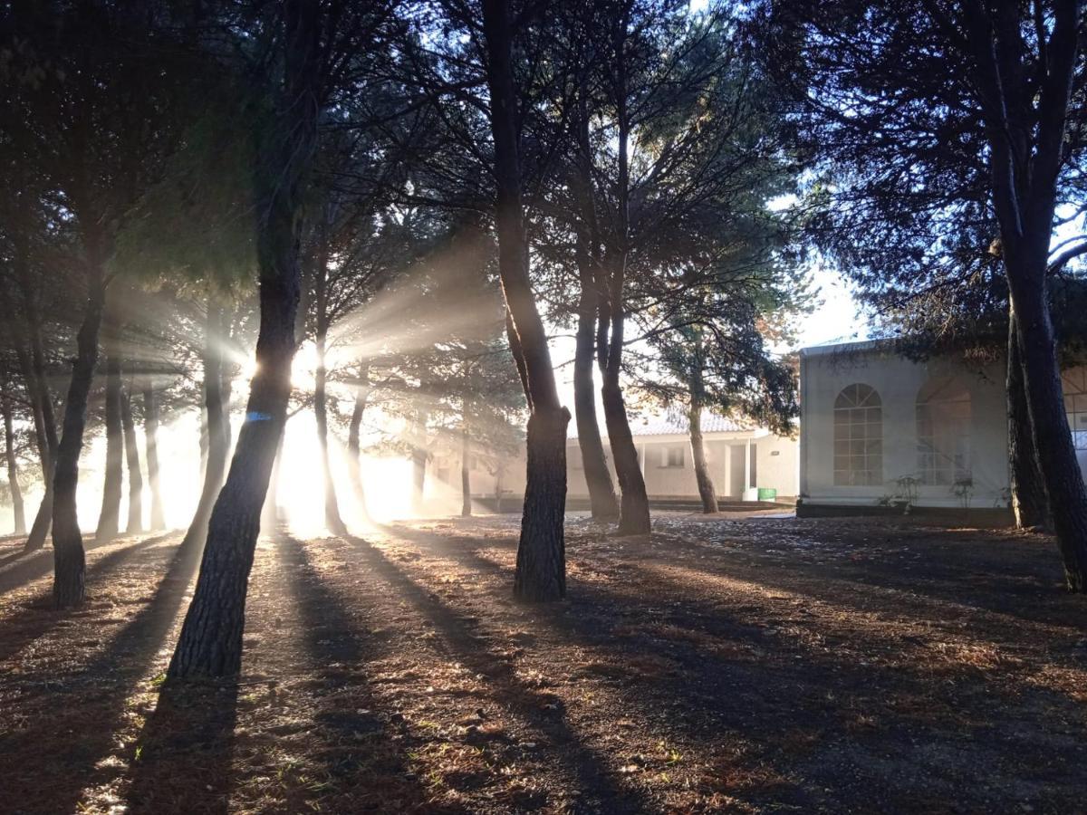 Bungalows Zaragoza Camping Dış mekan fotoğraf