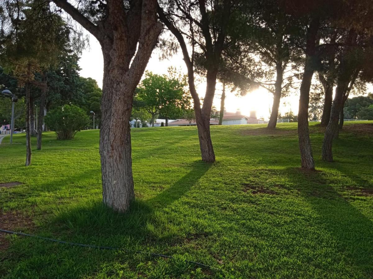 Bungalows Zaragoza Camping Dış mekan fotoğraf